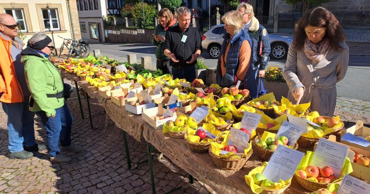 31. Apfelfest am Oktobermarkt