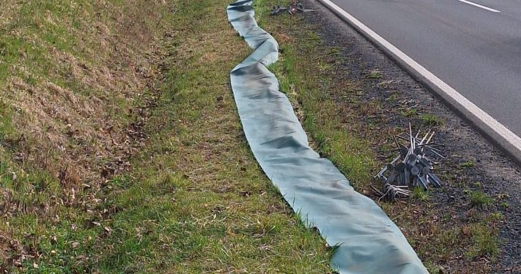 Abbau Schutzzaun Amphibien