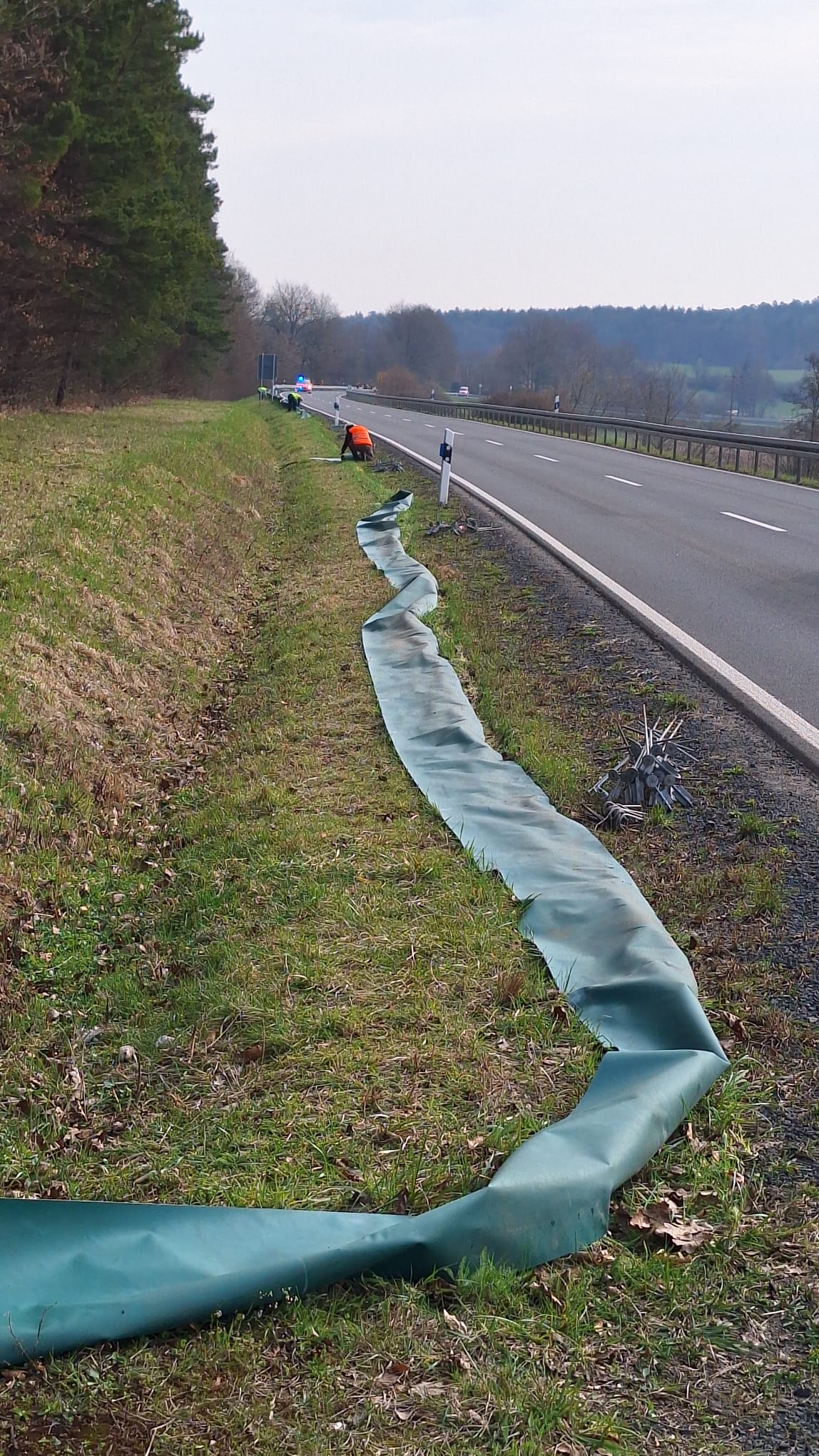 Abbau Schutzzaun Amphibien