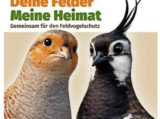 Feldvogel Info-Tag 9. April 2026