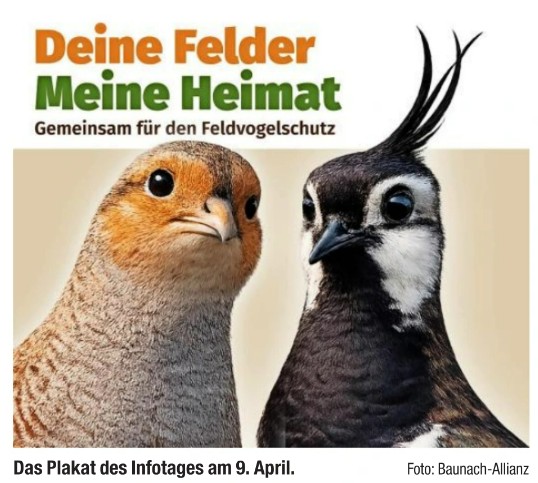 Feldvogel Info-Tag 9. April 2026